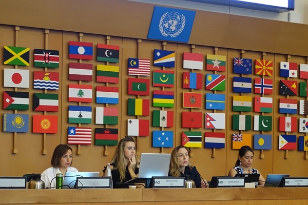CFS Negotiations on reducing inequalities for food security and nutrition