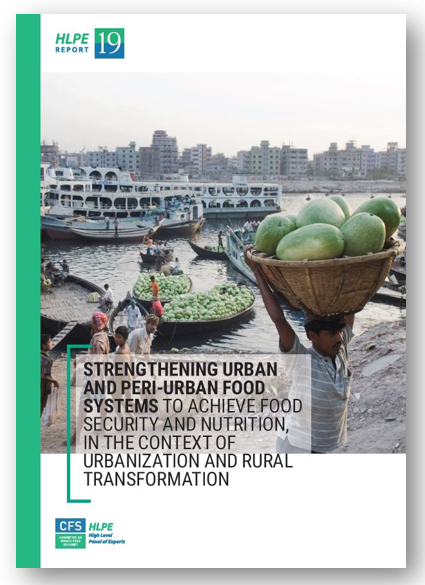 Cover HLPE 19