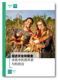 HLPE-FSN report