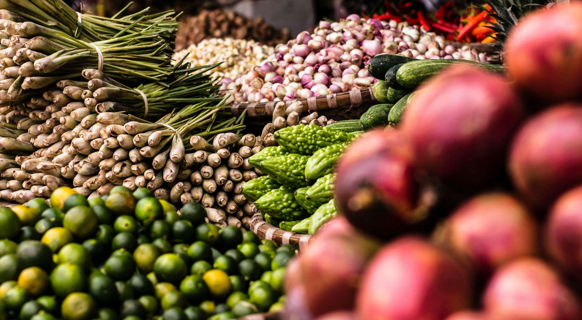 Renseignements sur les systèmes agroalimentaires durables (SASI)