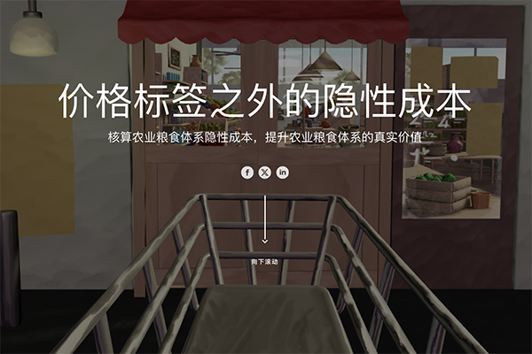 核算农业粮食体系隐性成本，提升农业粮食体系的真实价值
