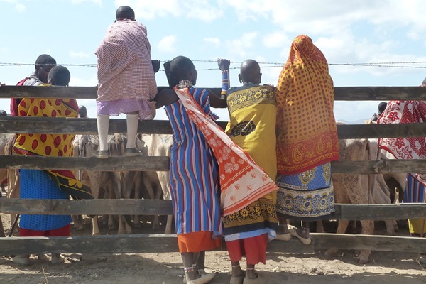 Kenya2