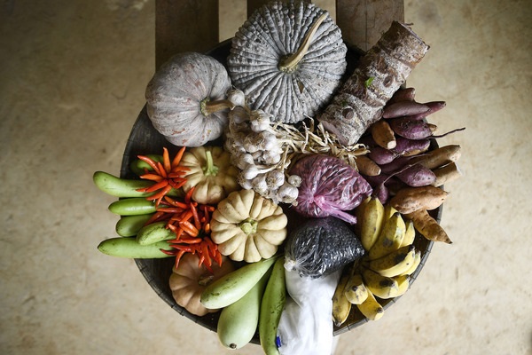 14th Int Food Data Conference_Thumb Fruits and vegetables