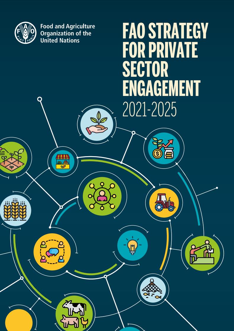 Private Sector Strategy