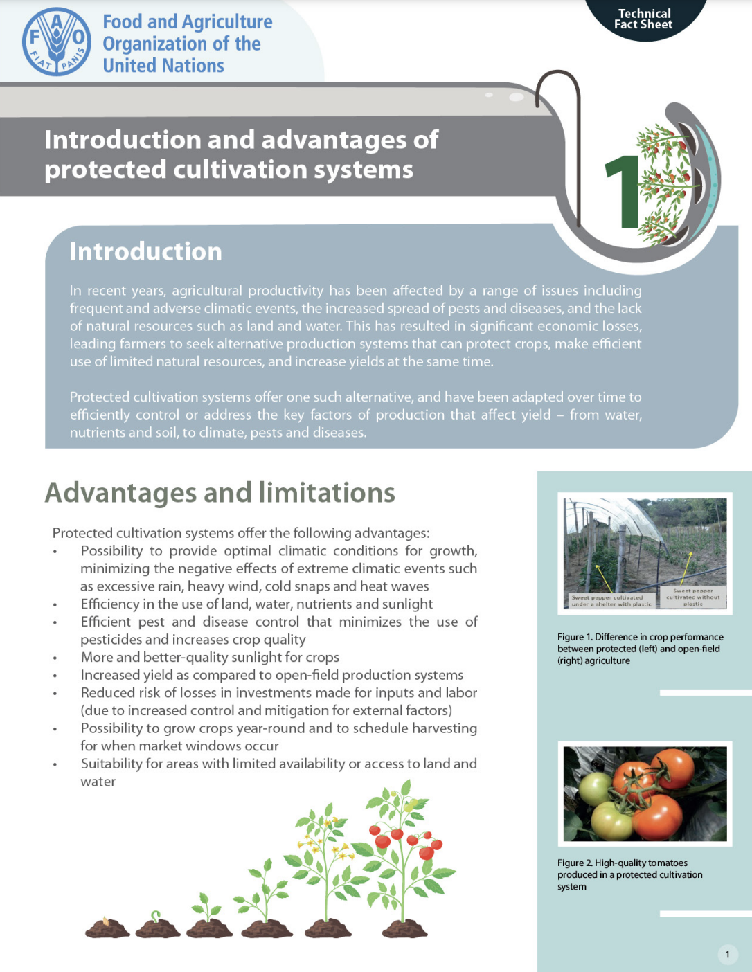 Introduction and advantages of protected cultivation systems