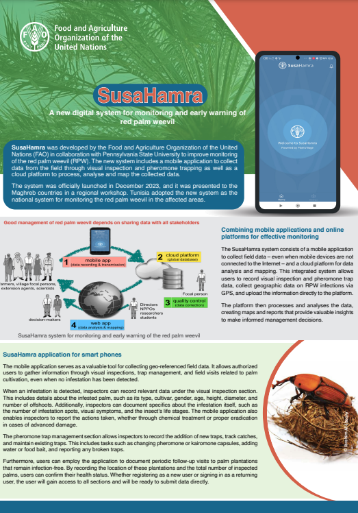 SusaHamra