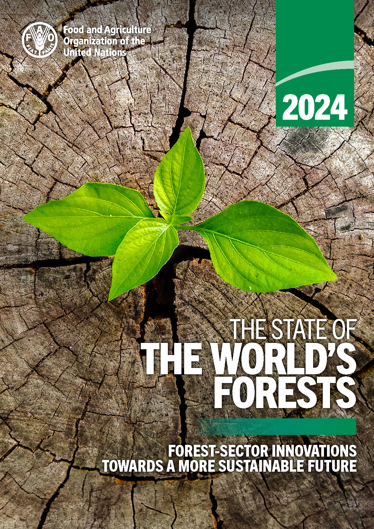SOFO 2024 report cover thumbnail
