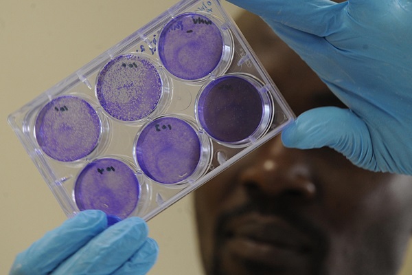 zoonosis