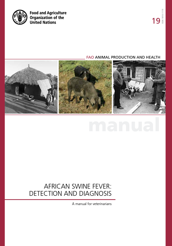 African swine fever detection and diagnosis