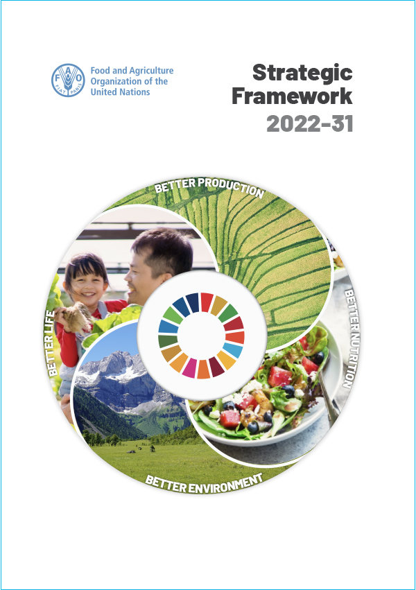 Strategic framework 2022-2031
