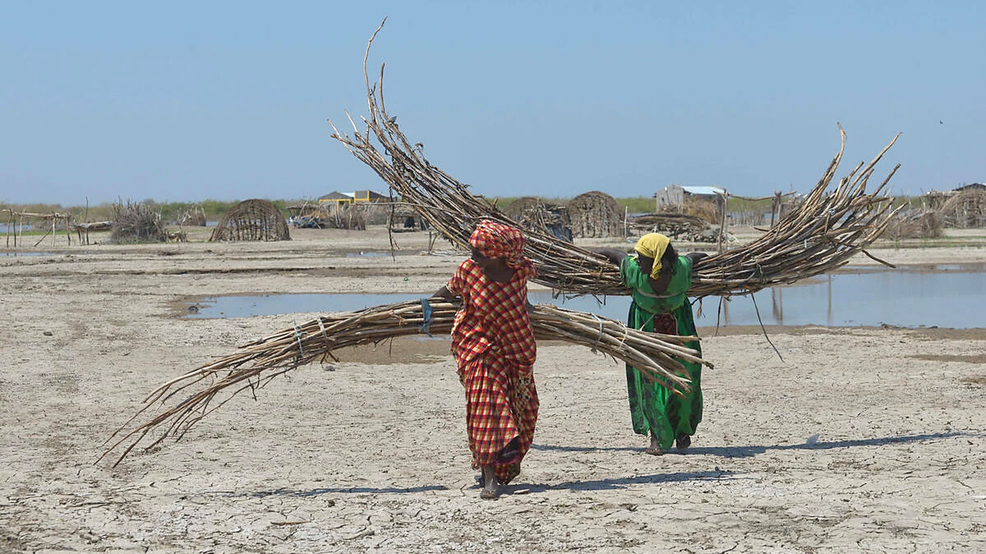 New HLPE-FSN note: Tackling climate change, biodiversity loss and land degradation through the right to food