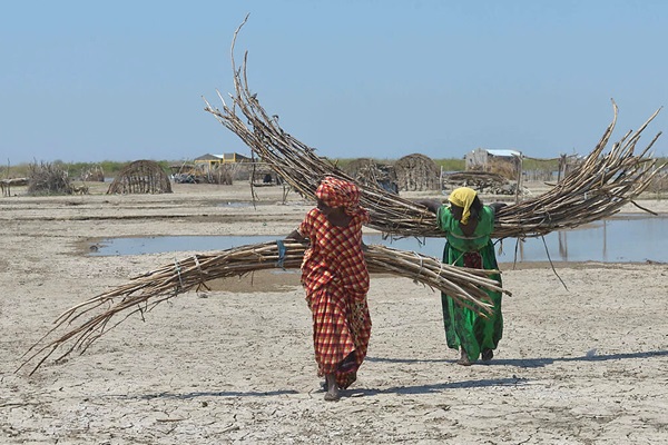 New HLPE-FSN note: Tackling climate change, biodiversity loss and land degradation through the right to food