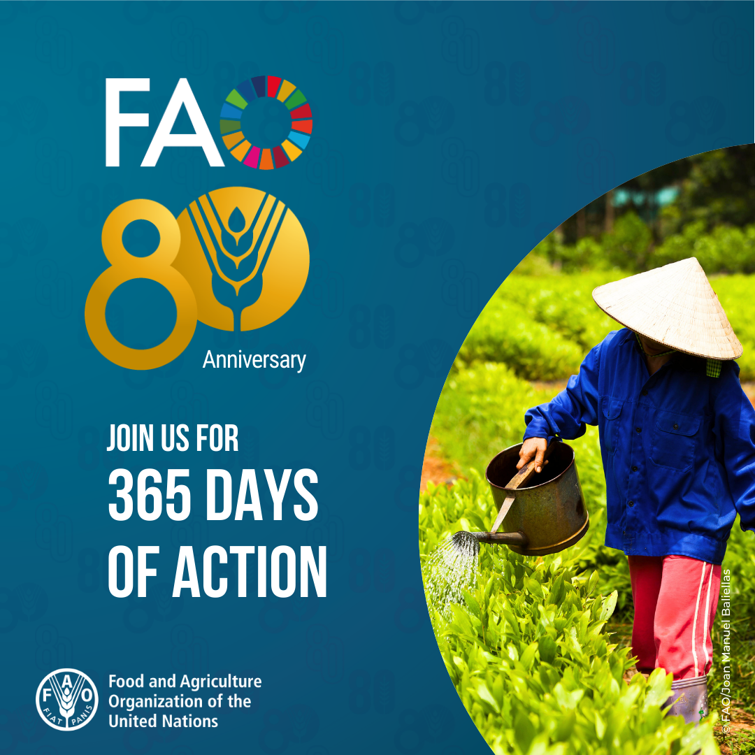 FAO 80th anniversary FAO 80th anniversary