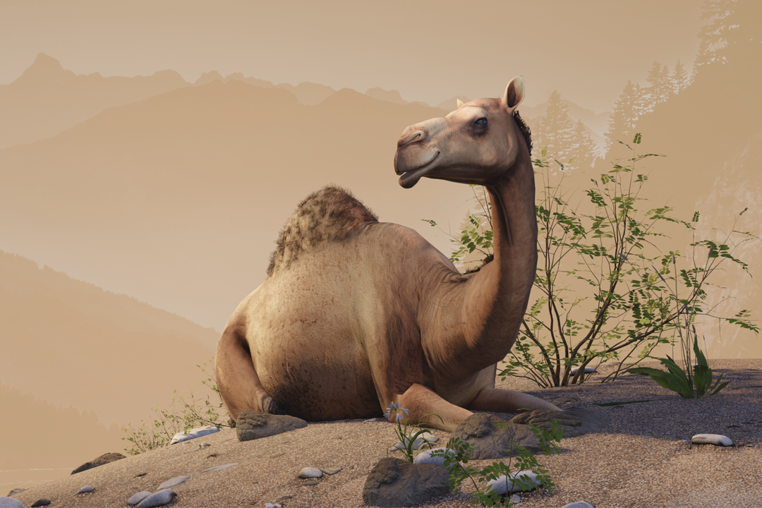 Heroes of deserts and highlands- Interactive story