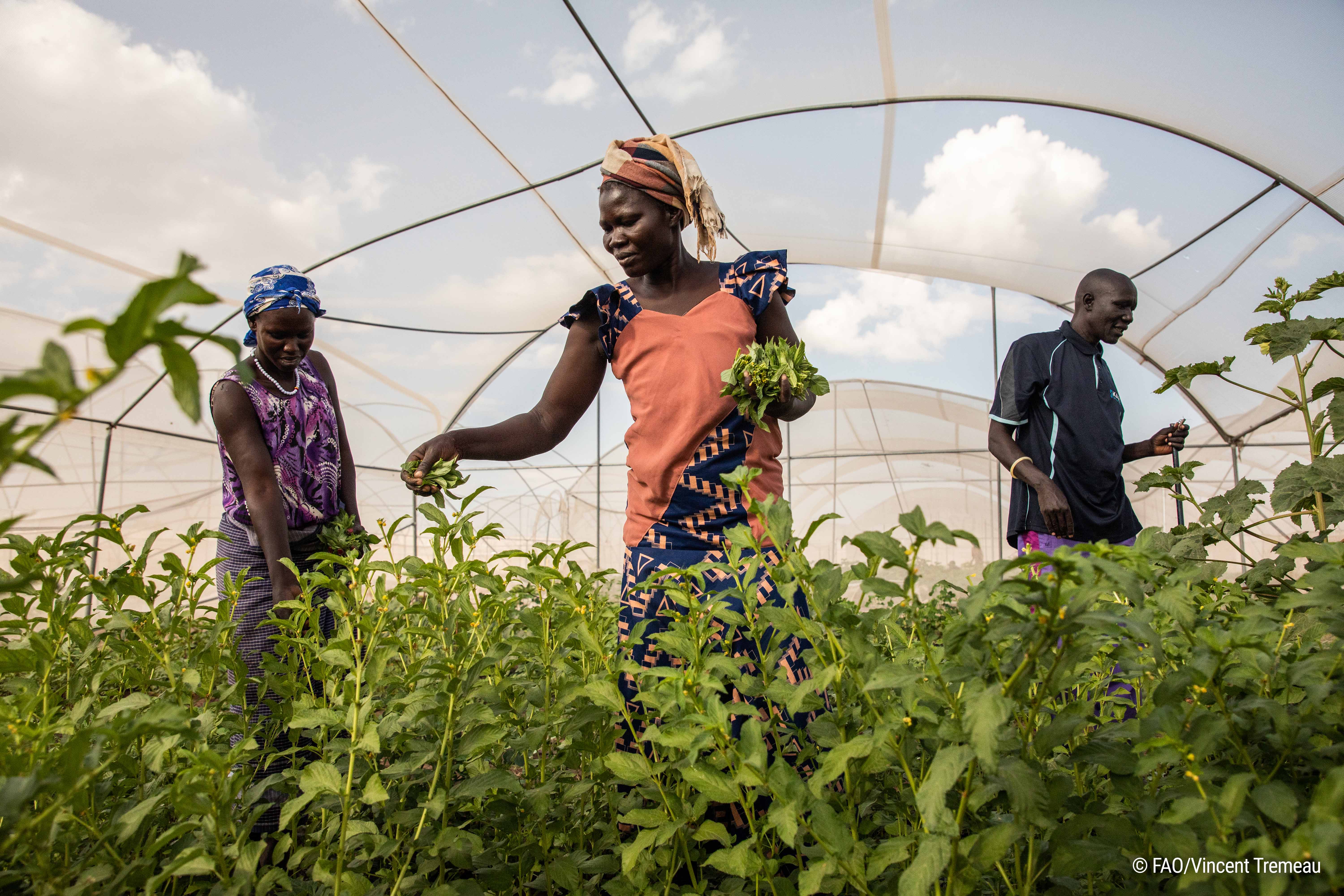 Partners - FOOD SYSTEMS COALITIONS